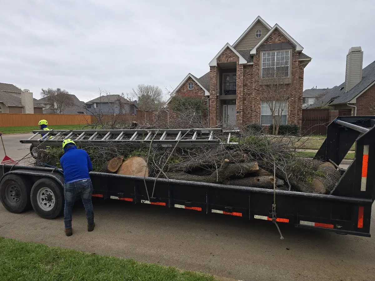 Expert Tree Fertilization with proper safety equipment in Durham